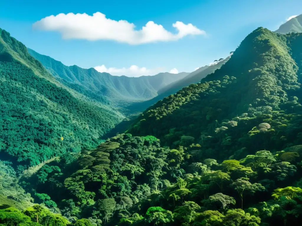 Espléndida selva colombiana: biodiversidad y belleza natural Un exuberante bosque lluvioso colombiano con biodiversidad, reflejando la importancia de las Políticas Fiscales Verdes en Colombia